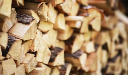 Bois de chauffage à Saint-Genis-Pouilly : essences, prix et fournisseurs locaux