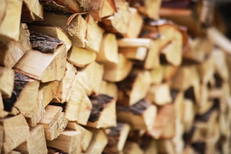 Bois de chauffage à Saint-Genis-Pouilly : essences, prix et fournisseurs locaux